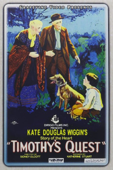 Timothy's Quest (1922)