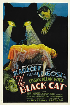 The Black Cat (1934) (1934) download