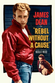 Rebel Without a Cause (1955) (1955) download