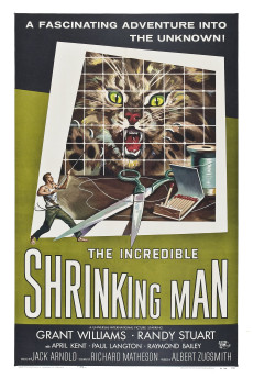 The Incredible Shrinking Man (1957) (1957) download