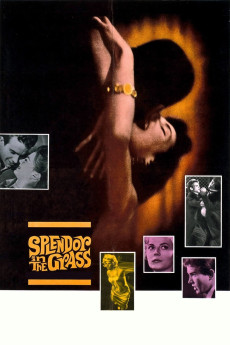 Splendor in the Grass (1961) (1961) download