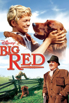 Big Red (1962) (1962) download