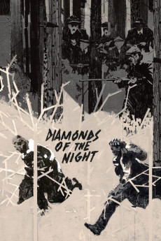 Diamonds of the Night (1964) (1964) download