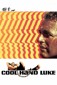 Cool Hand Luke (1967) (1967) download