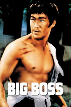 The Big Boss (1971) (1971) download