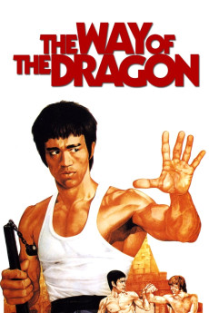 The Way of the Dragon (1972) (1972) download