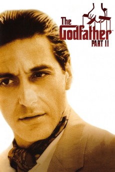 The Godfather Part II (1974) (1974) download