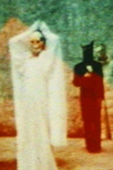 In the Shadow of the Sun (1981) (1981) download