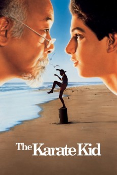The Karate Kid (1984) (1984) download
