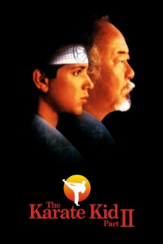 The Karate Kid Part II (1986) (1986) download