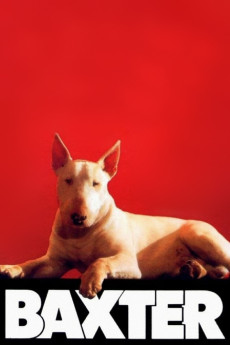 Baxter (1989)