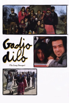 The Crazy Stranger (1997) (1997) download