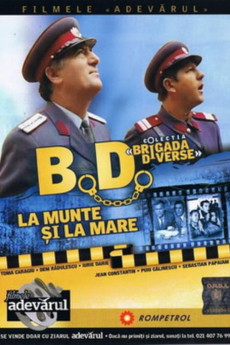 Miscellaneous Brigade in the Mountains and at the Sea (1971)