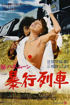 Secret Honeymoon: Rape Train (1977)