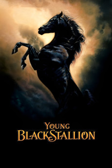 The Young Black Stallion (2003) (2003) download