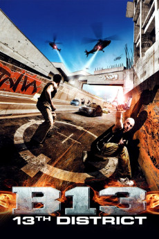 District B13 (2004) (2004) download