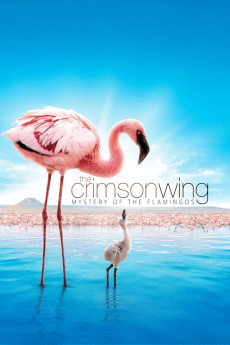The Crimson Wing: Mystery of the Flamingos (2008) (2008) download