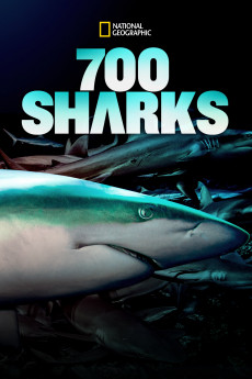 700 Sharks (2018)