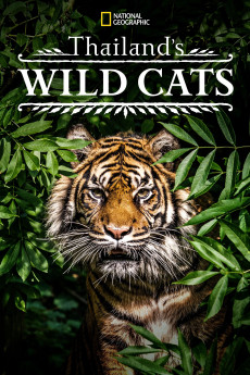Thailand's Wild Cats (2021) (2021) download