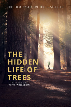 The Hidden Life of Trees (2020) (2020) download