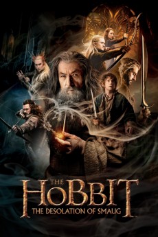 The Hobbit: The Desolation of Smaug (2013) (2013) download