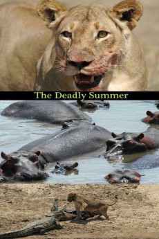 Wild Deadly Summer (2006)