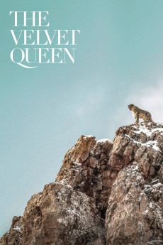 The Velvet Queen (2021) (2021) download