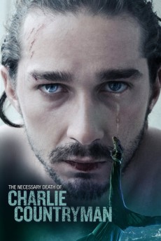 Charlie Countryman (2013)