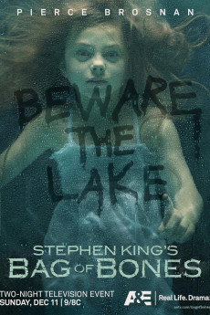 Bag of Bones (2011)