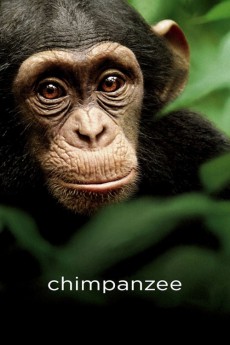 Chimpanzee (2012) (2012) download