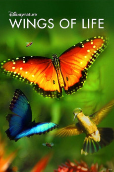 Disneynature: Wings of Life (2011)