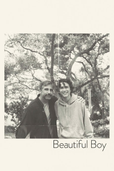 Beautiful Boy (2018) (2018) download