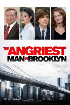 The Angriest Man in Brooklyn (2014) (2014) download