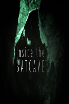 Inside the Bat Cave (2020)