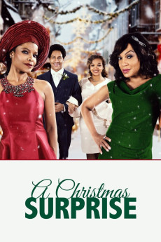 A Christmas Surprise (2020) (2020) download