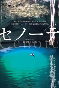 Cenote (2019)