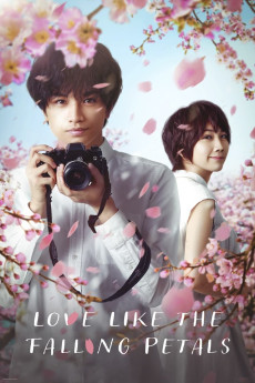 Love Like the Falling Petals (2022) (2022) download