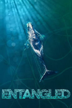 Entangled: The Race to Save Right Whales from Extinction (2020)
