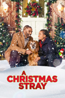 A Christmas Stray (2021) (2021) download