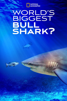 World's Biggest Bull Shark (2021)