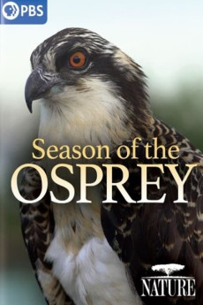 Nature Season of the Osprey (2021)