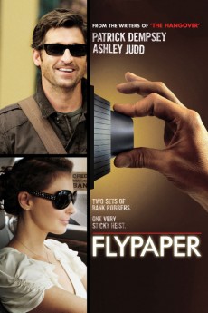 Flypaper (2011) (2011) download
