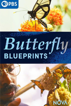 Nova Butterfly Blueprints (2022)