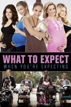 What to Expect When You're Expecting (2012) (2012) download