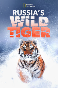 Big Cat Week Russia's Wild Tiger (2022)