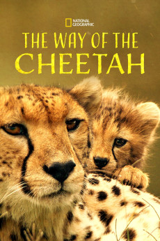 Big Cat Week The Way of the Cheetah (2022)