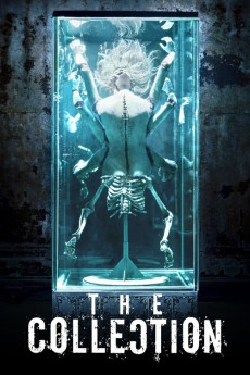 The Collection (2012) (2012) download