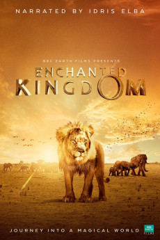 Enchanted Kingdom (2014) (2014) download