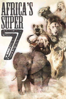 Africa's Super Seven (2005)