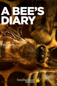 A Bee's Diary (2022)